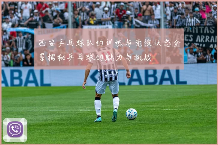 西安乒乓球队的训练与竞技状态全景揭秘乒乓球的魅力与挑战