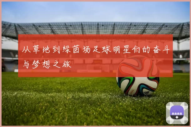 从草地到绿茵场足球明星们的奋斗与梦想之旅