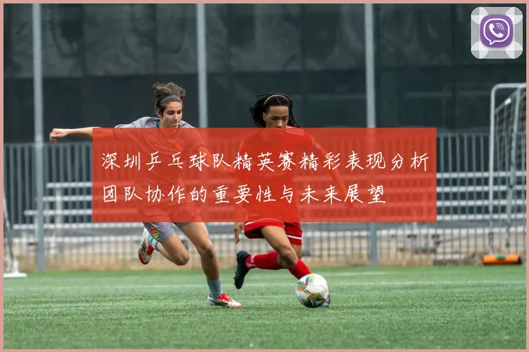 深圳乒乓球队精英赛精彩表现分析团队协作的重要性与未来展望