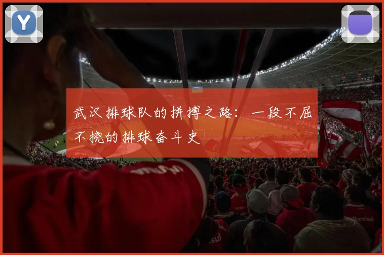 武汉排球队的拼搏之路：一段不屈不挠的排球奋斗史