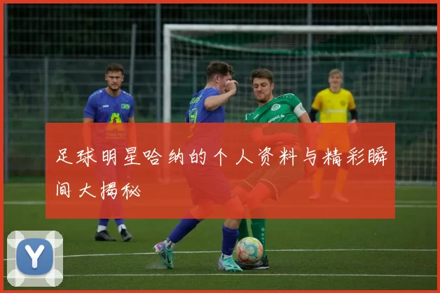 足球明星哈纳的个人资料与精彩瞬间大揭秘