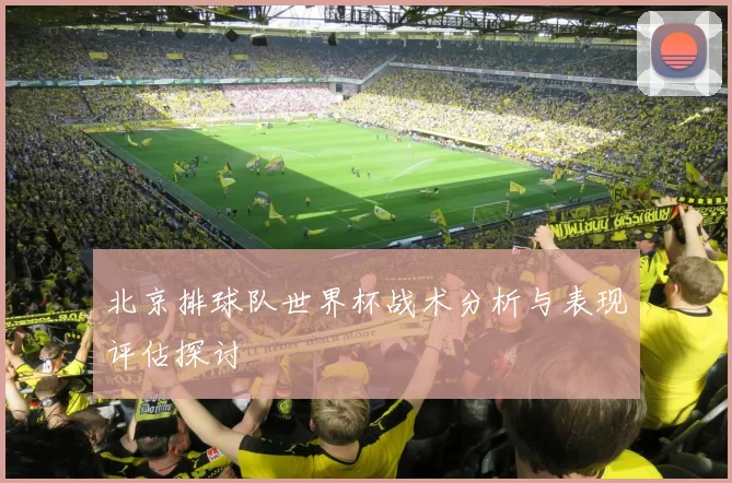 北京排球队世界杯战术分析与表现评估探讨