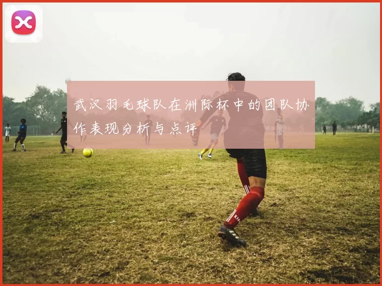 武汉羽毛球队在洲际杯中的团队协作表现分析与点评