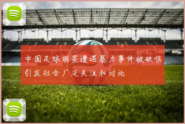 中国足球明星遭遇暴力事件被砍伤引发社会广泛关注和讨论