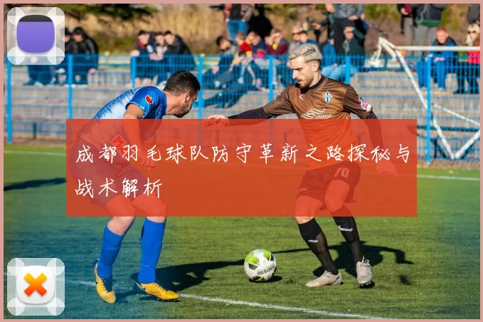 成都羽毛球队防守革新之路探秘与战术解析