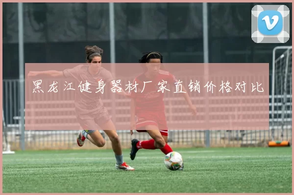 黑龙江健身器材厂家直销价格对比