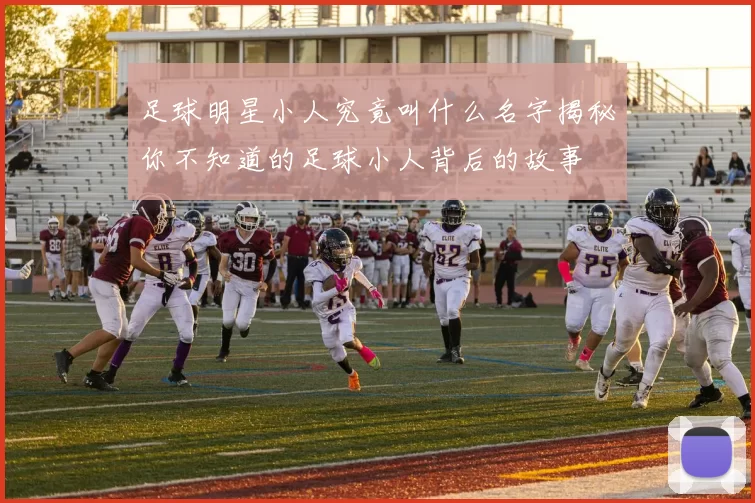 足球明星小人究竟叫什么名字揭秘你不知道的足球小人背后的故事