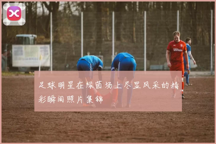 足球明星在绿茵场上尽显风采的精彩瞬间照片集锦