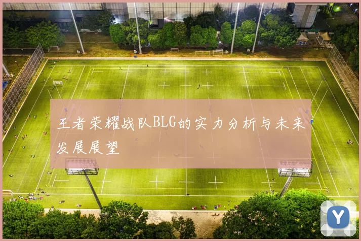 王者荣耀战队BLG的实力分析与未来发展展望