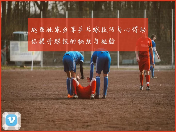赵丽独家分享乒乓球技巧与心得助你提升球技的秘诀与经验