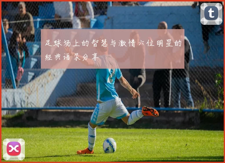 足球场上的智慧与激情六位明星的经典语录分享