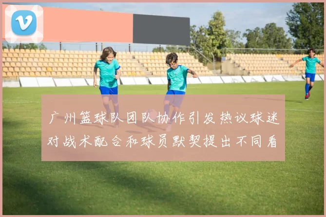广州篮球队团队协作引发热议球迷对战术配合和球员默契提出不同看法