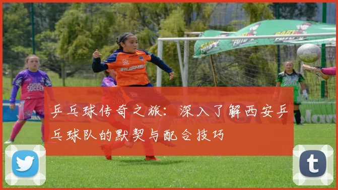 乒乓球传奇之旅：深入了解西安乒乓球队的默契与配合技巧