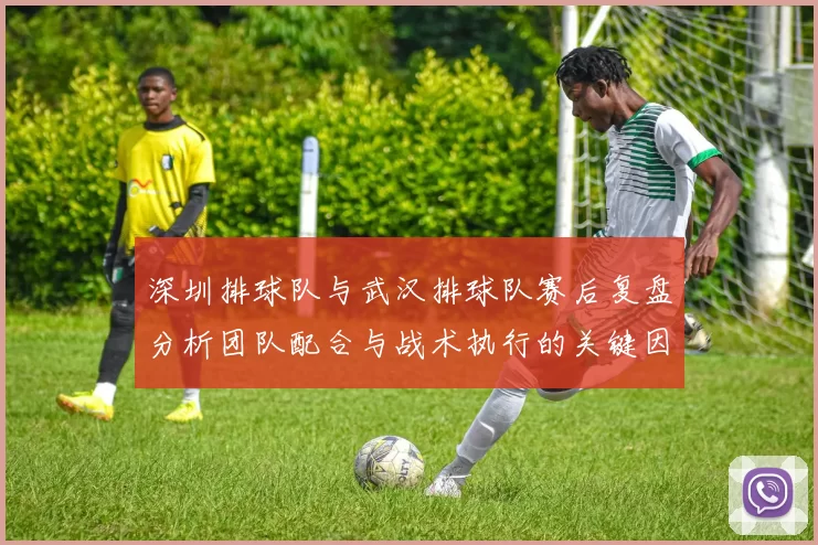 深圳排球队与武汉排球队赛后复盘分析团队配合与战术执行的关键因素