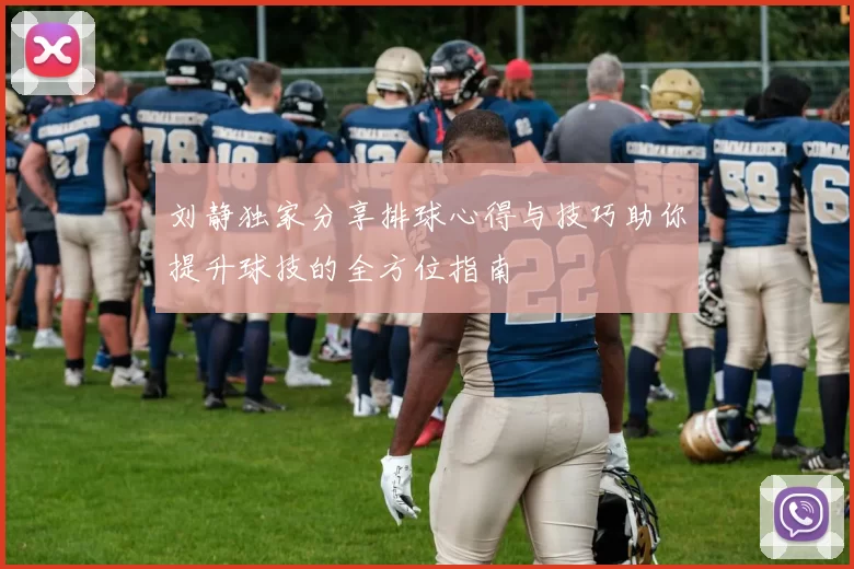 刘静独家分享排球心得与技巧助你提升球技的全方位指南