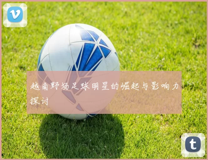 越南野场足球明星的崛起与影响力探讨