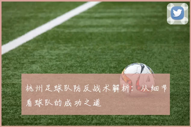 杭州足球队防反战术解析：从细节看球队的成功之道