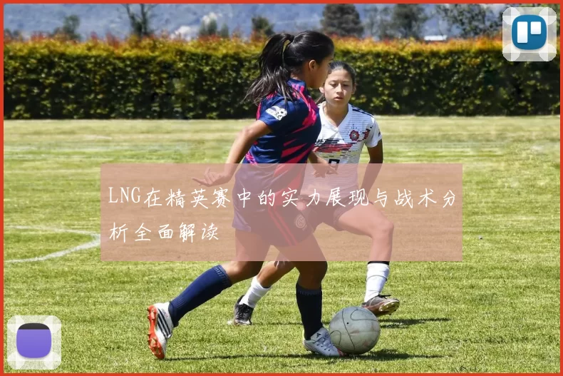 LNG在精英赛中的实力展现与战术分析全面解读