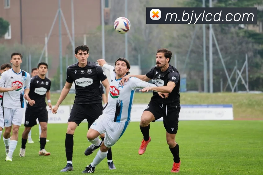 开云官网入口APP 封面图